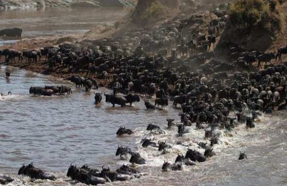 ������ˮǨ�㣬����ˮ���Ľ�