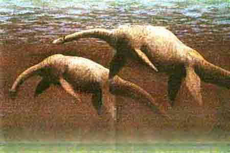 �������˹��ˮ����