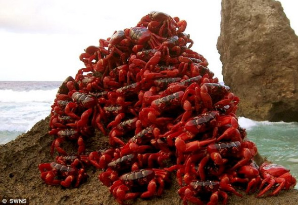 �꼾����ʱ�����ּ׿���<a href=http://www.xinjiewang.com/zhouyiyanjiu/2/6/ target=_blank class=infotextkey><a href=http://www.xinjiewang.com/xiaohua/13/ target=_blank class=infotextkey>����</a></a>��������н�������������<a href=http://www.xinjiewang.com/why/09/ target=_blank class=infotextkey>����</a>ѧ�źŴ�ʹ�Ȳ����ⷢ��Ϸ���Ա仯��