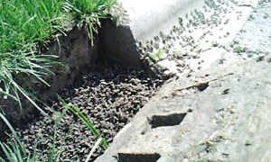 ������С���������·�ߡ�