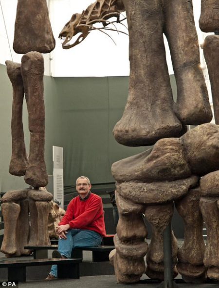 ����-ɣ�½�����Ϊ���������ʳ�ݿ���ͣ����ȥ�׽������ǽ�ʳ��ʱ���������