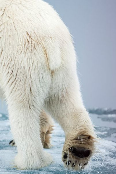 ���������߱���֮��