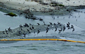 <a href=http://www.xinjiewang.com/why/02/ target=_blank class=infotextkey>�Ƽ�</a>ʱ��_��������������� �����غ���̬�漱(ͼ)