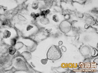 ���������������