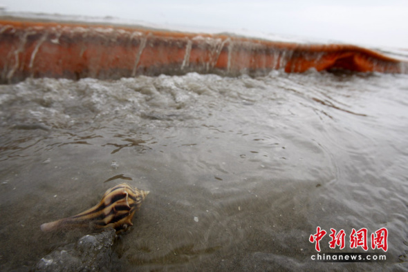 美国沉没钻井原油泄露灾难失控(组图)