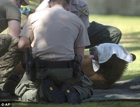 Ӫ����Ա�����ܵ��۾���ס��