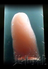 �ձ�������<a href=http://www.xinjiewang.com/meinv/14/ target=_blank class=infotextkey>ѧ��</a>������<a href=http://www.xinjiewang.com/caiwuxinxi/3/6/ target=_blank class=infotextkey>�о�</a>����<a href=http://www.xinjiewang.com/caiwuxinxi/3/6/ target=_blank class=infotextkey>�о�</a>С���ð���Ƥ��ϸ���������&ldquo;��ָ&rdquo;