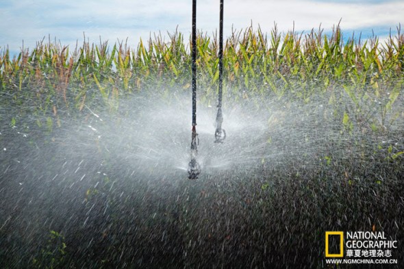 ������ĵ���70%�ĵ�ˮ������΢���֮�����Ч�ķ����ܹ���������֮һ����ˮ����